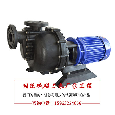 氟塑料自吸泵